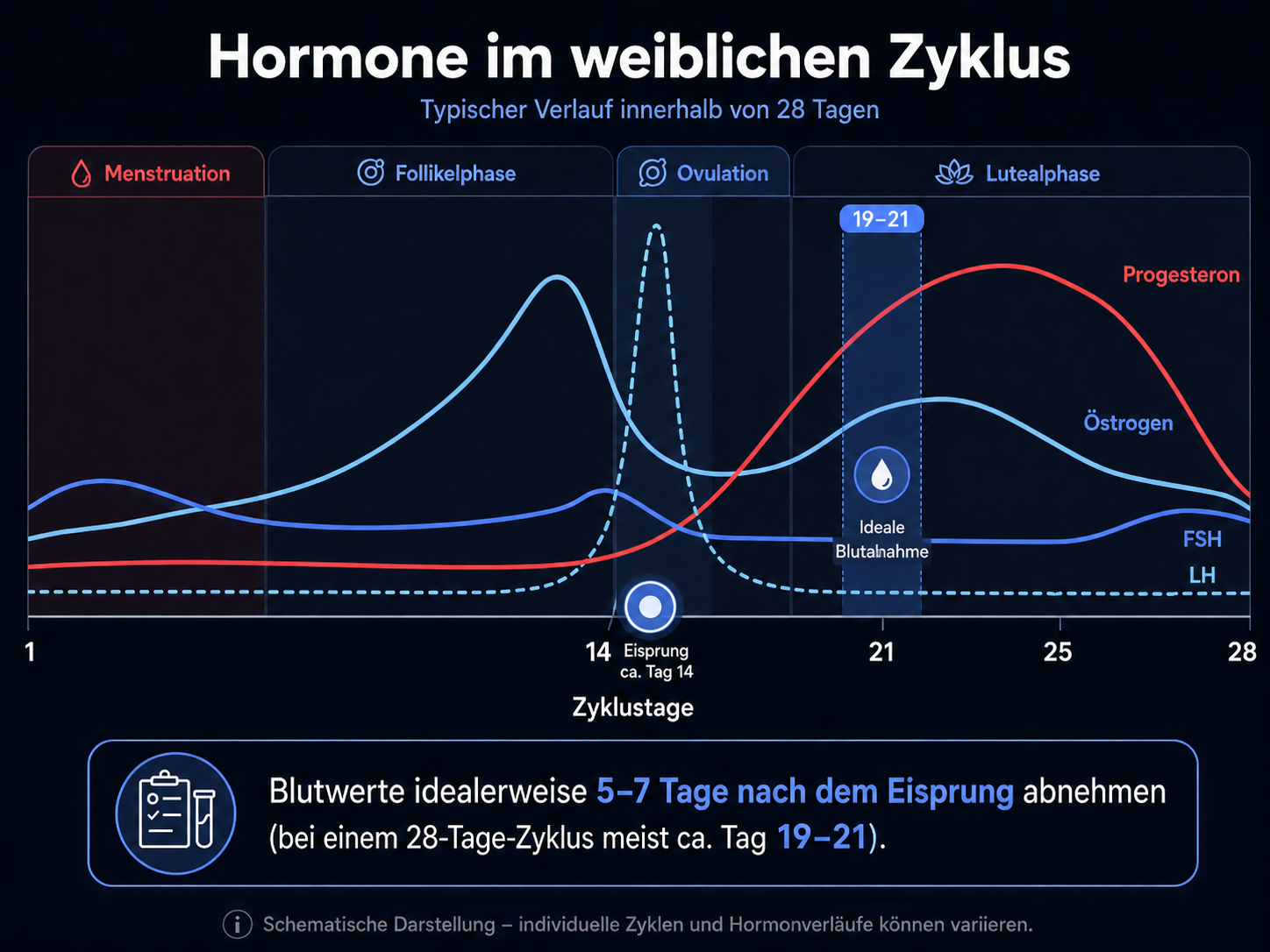 Hormone im weiblichen Zyklus: Verlauf von Östrogen, Progesteron, FSH und LH über 28 Tage mit idealem Blutabnahme-Fenster an Tag 19–21